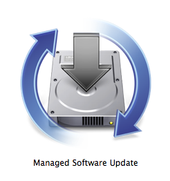 managedsoftwareupdate 